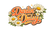 Darlin’ Daisy - Home